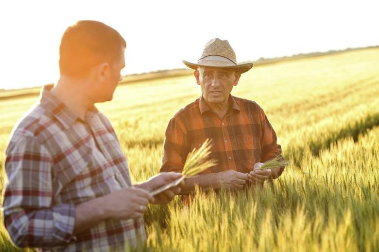 Россия за 3 года потеряла около 3 тыс. аграриев